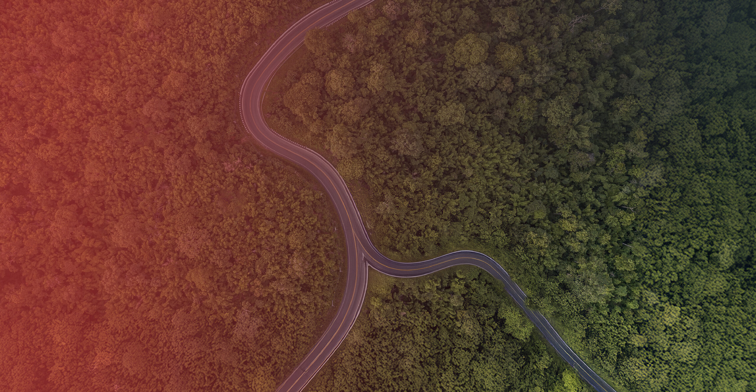 Venture building: El nuevo modelo de innovación corporativa